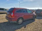 Lot #3304887555 2007 HONDA CR-V EXL