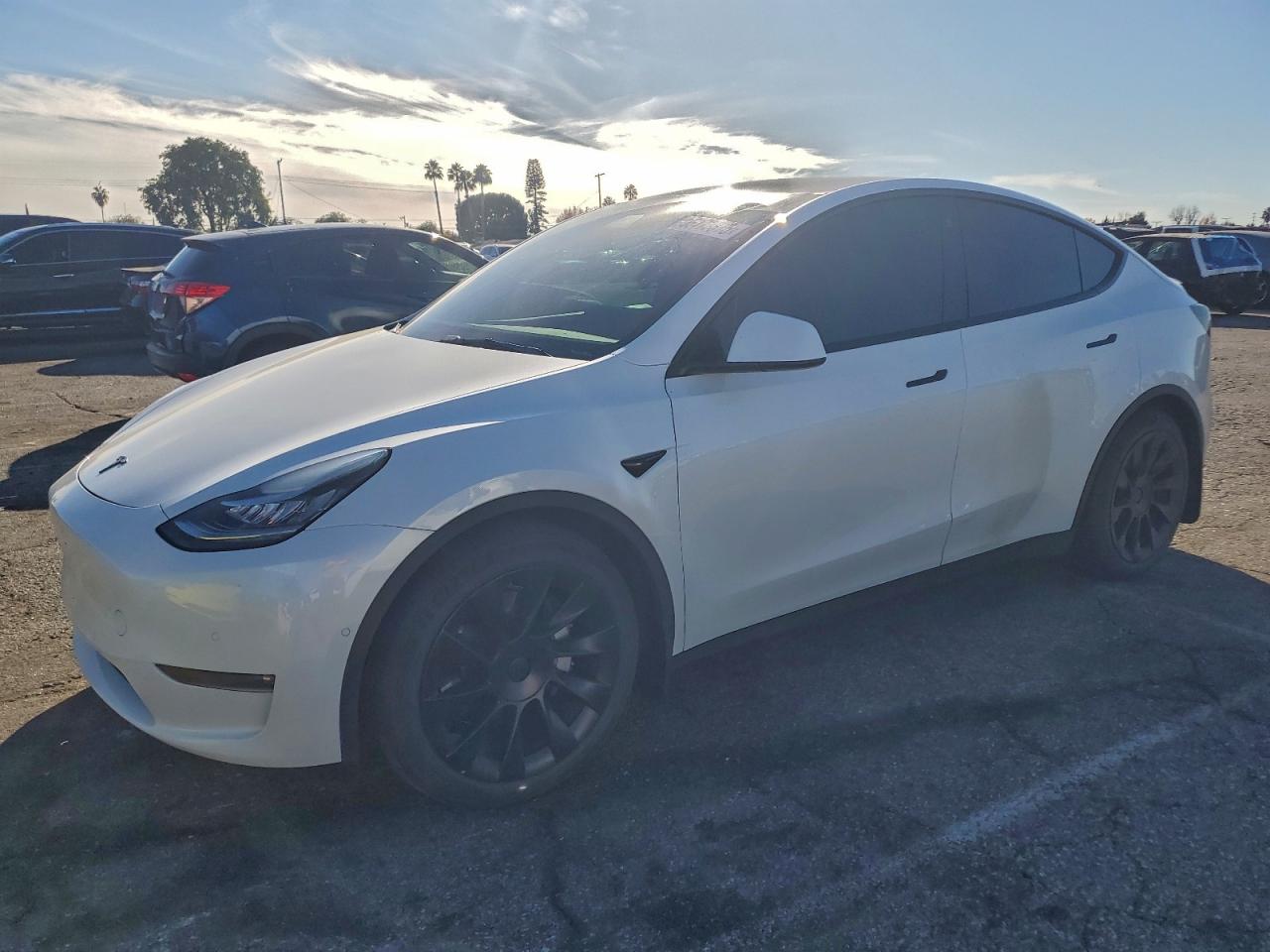 Lot #3317056999 2021 TESLA MODEL Y