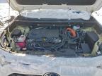 Lot #3315732372 2023 TOYOTA RAV4 XLE