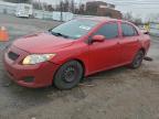 Lot #3312423671 2010 TOYOTA COROLLA BA