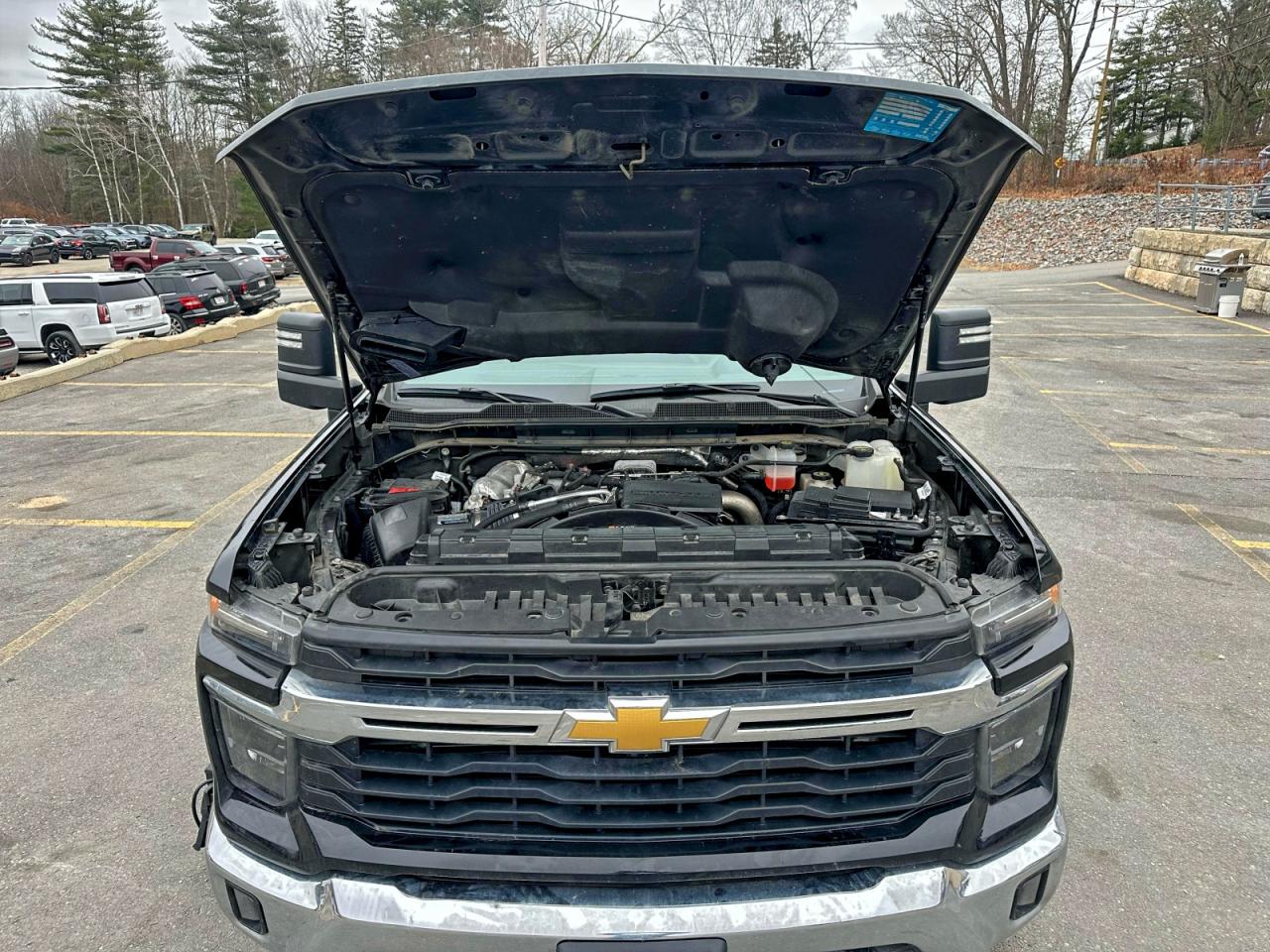 Lot #3304539454 2024 CHEVROLET SILVERADO