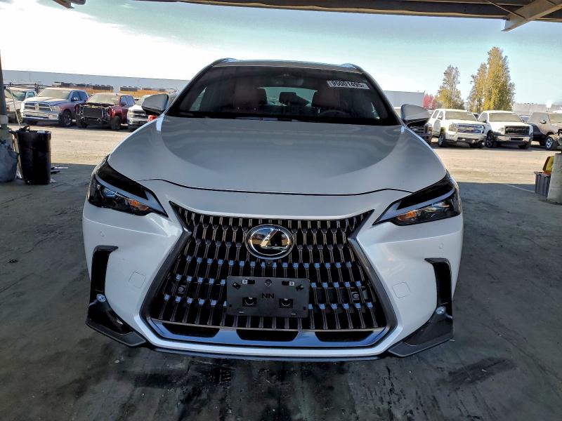 2025 LEXUS NX 350 PRE #3310626825