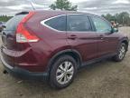 Lot #3304542444 2014 HONDA CR-V EX