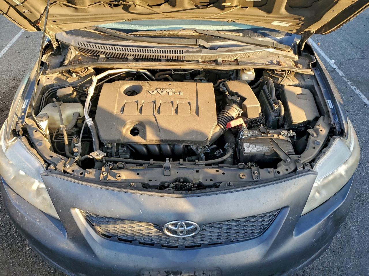 Lot #3316772442 2009 TOYOTA COROLLA BA