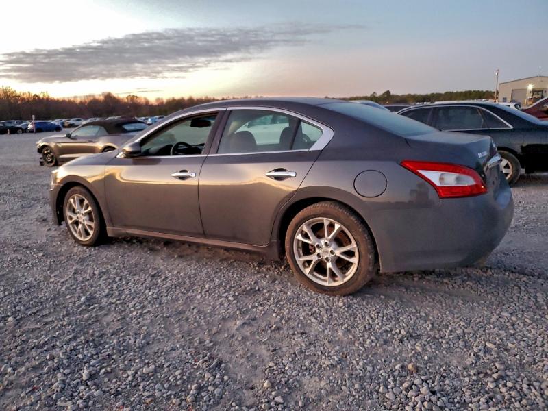 2013 NISSAN MAXIMA S #3311460248