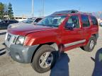 Lot #3303002642 2013 NISSAN XTERRA X