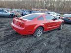 Lot #3313702150 2005 FORD MUSTANG