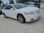 Lot #3301660689 2009 TOYOTA CAMRY BASE