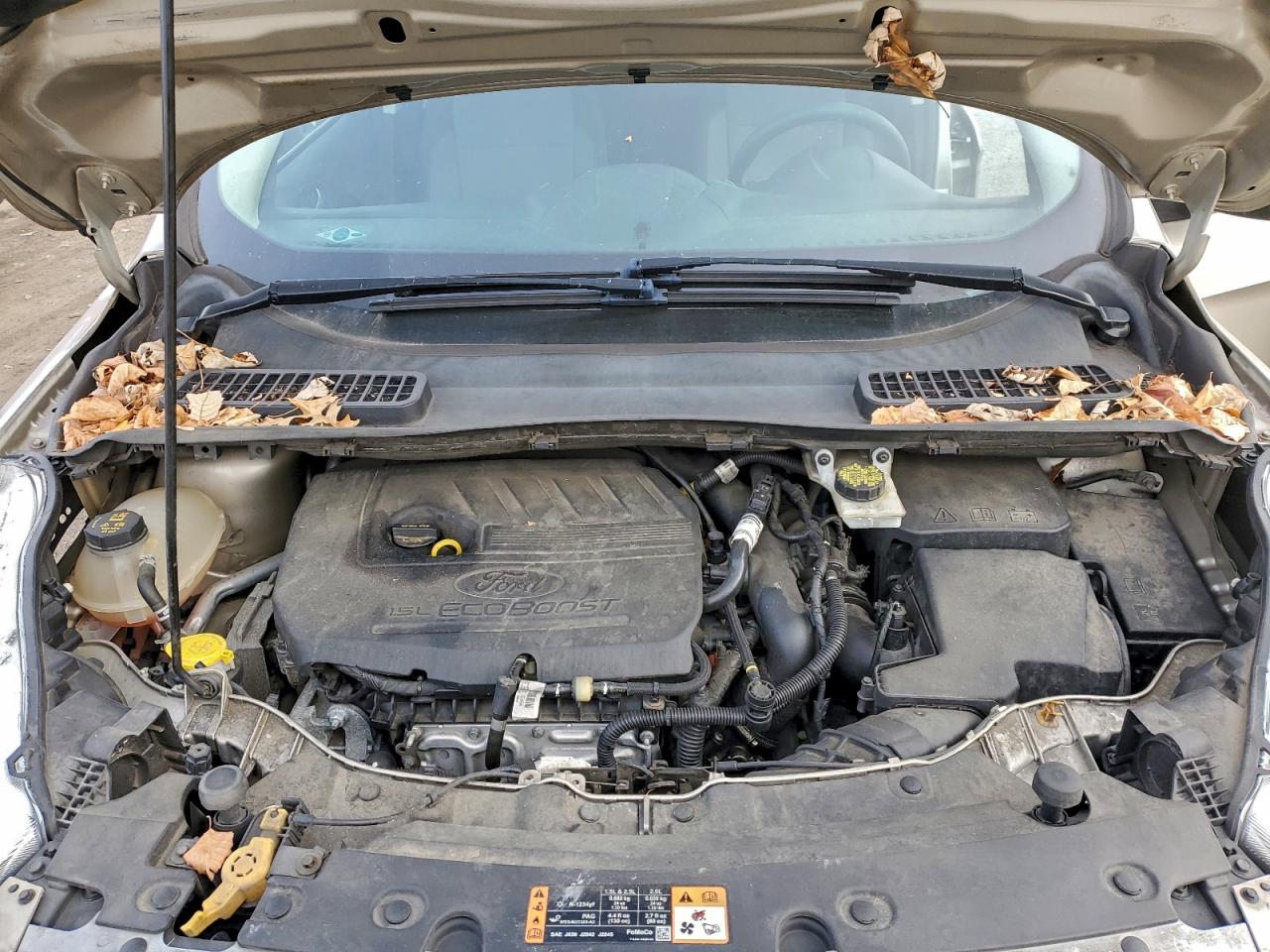 Lot #3312328771 2017 FORD ESCAPE SE