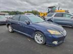 Lot #3308154177 2010 LEXUS ES 350