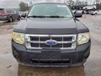 Lot #3305413327 2011 FORD ESCAPE XLS
