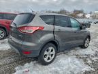Lot #3305381331 2014 FORD ESCAPE SE