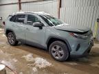 Lot #3316978135 2023 TOYOTA RAV4 XLE