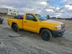 Lot #3309437965 2009 TOYOTA TACOMA