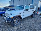 Lot #3316832652 2025 JEEP WRANGLER S