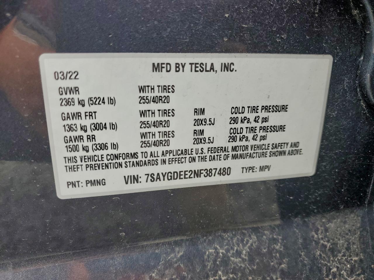 TESLA MODEL Y