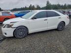Lot #3315598775 2011 TOYOTA CAMRY BASE