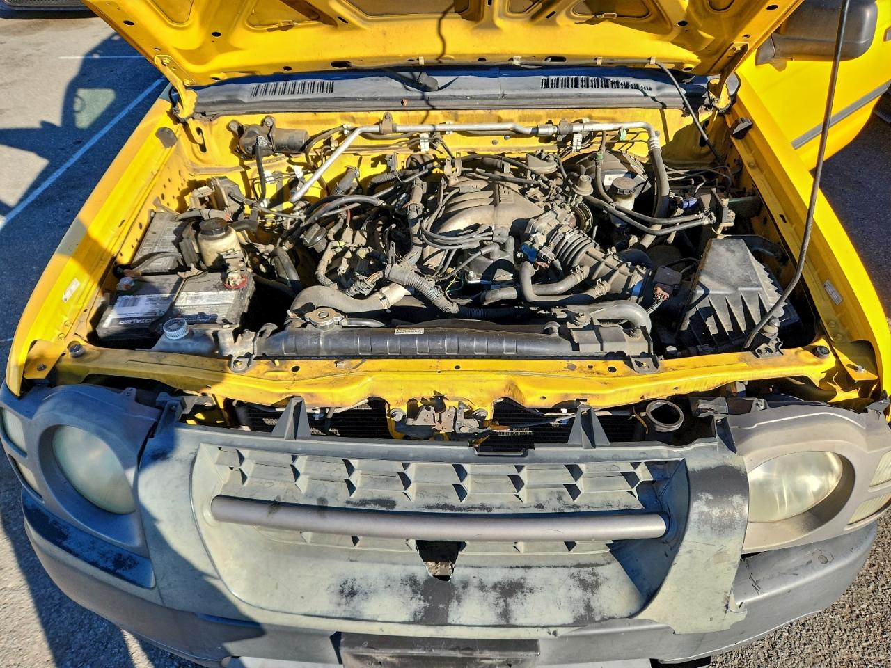 Lot #3309726846 2003 NISSAN XTERRA XE