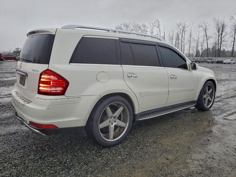 2010 MERCEDES-BENZ GL 450 4MA #3317061040