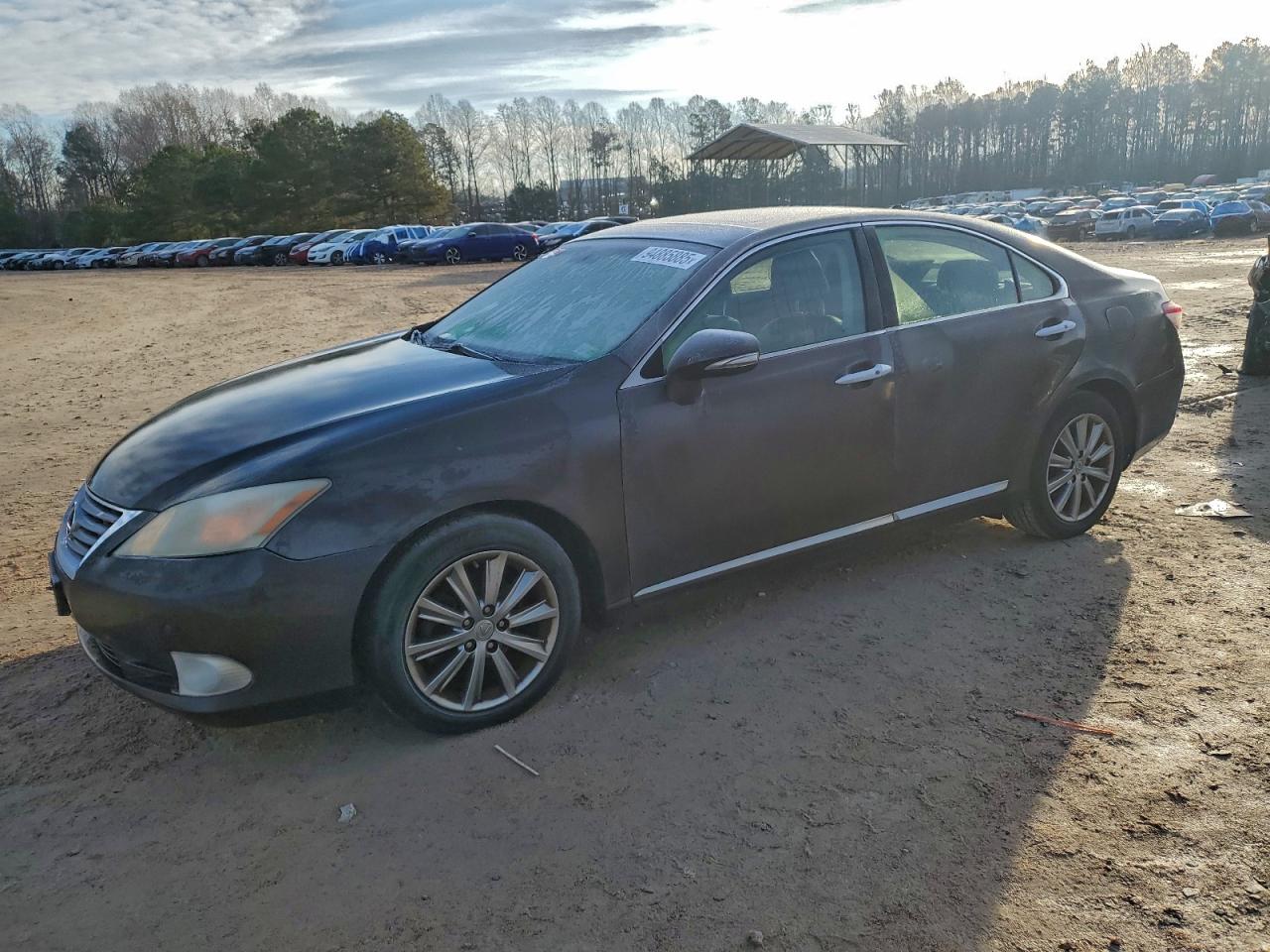 LEXUS ES 350