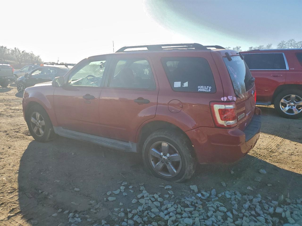 Lot #3315846153 2010 FORD ESCAPE XLT