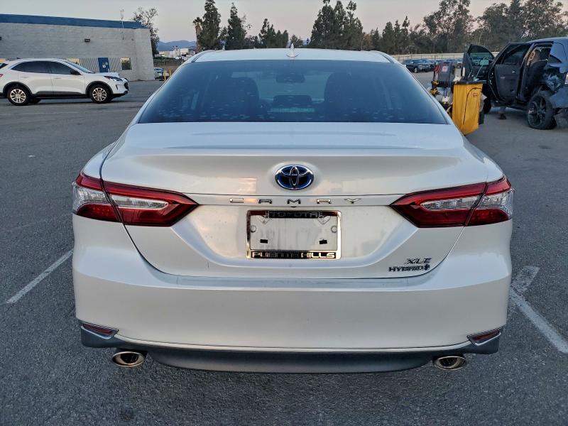 2020 TOYOTA CAMRY XLE #3310705740
