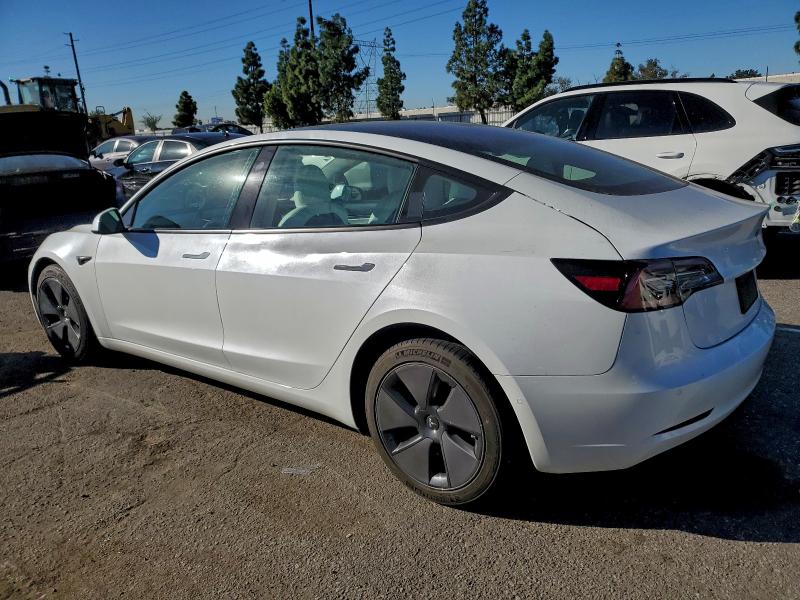 2021 TESLA MODEL 3 #3315783350