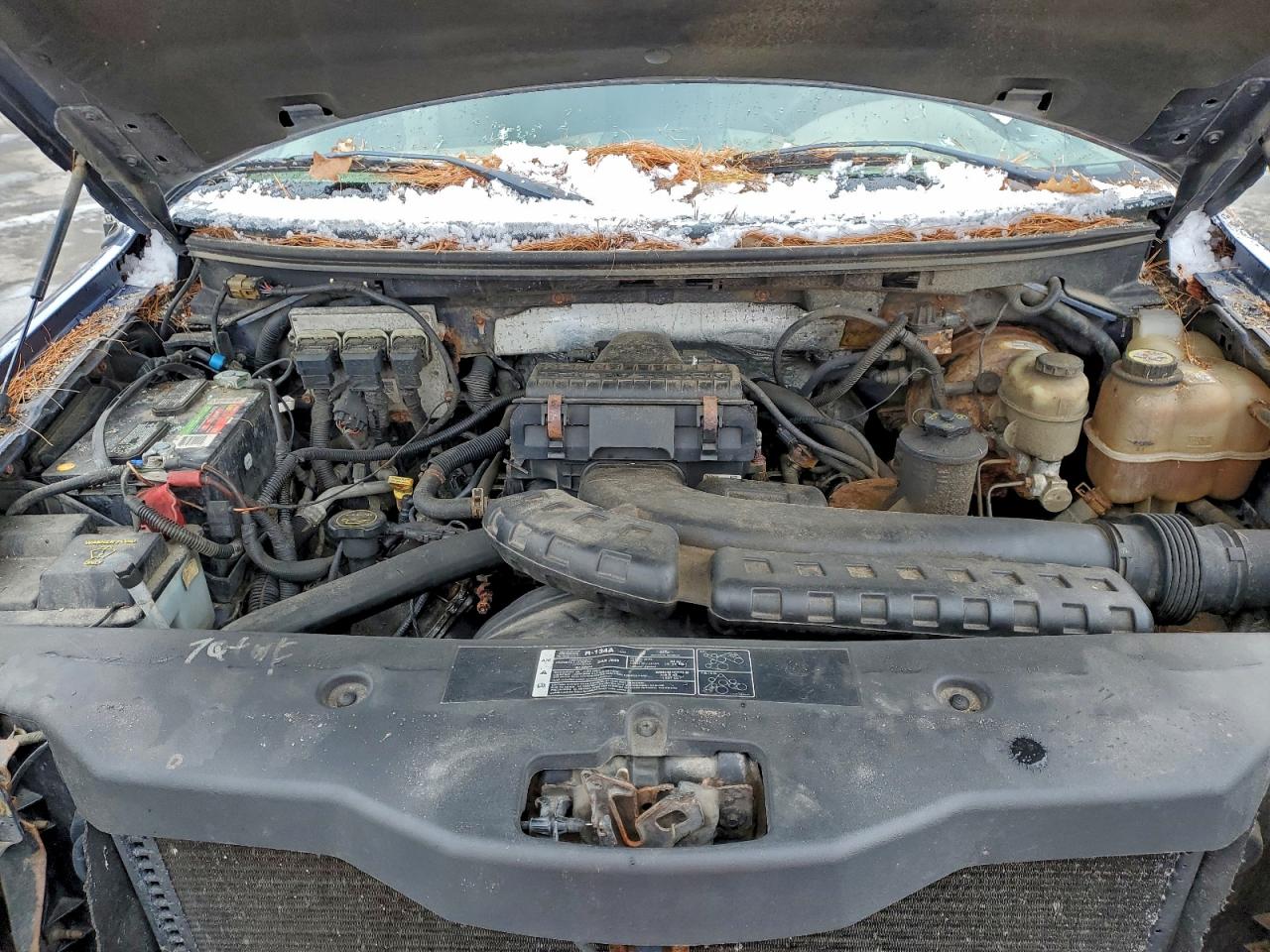 Lot #3305434476 2006 FORD F150