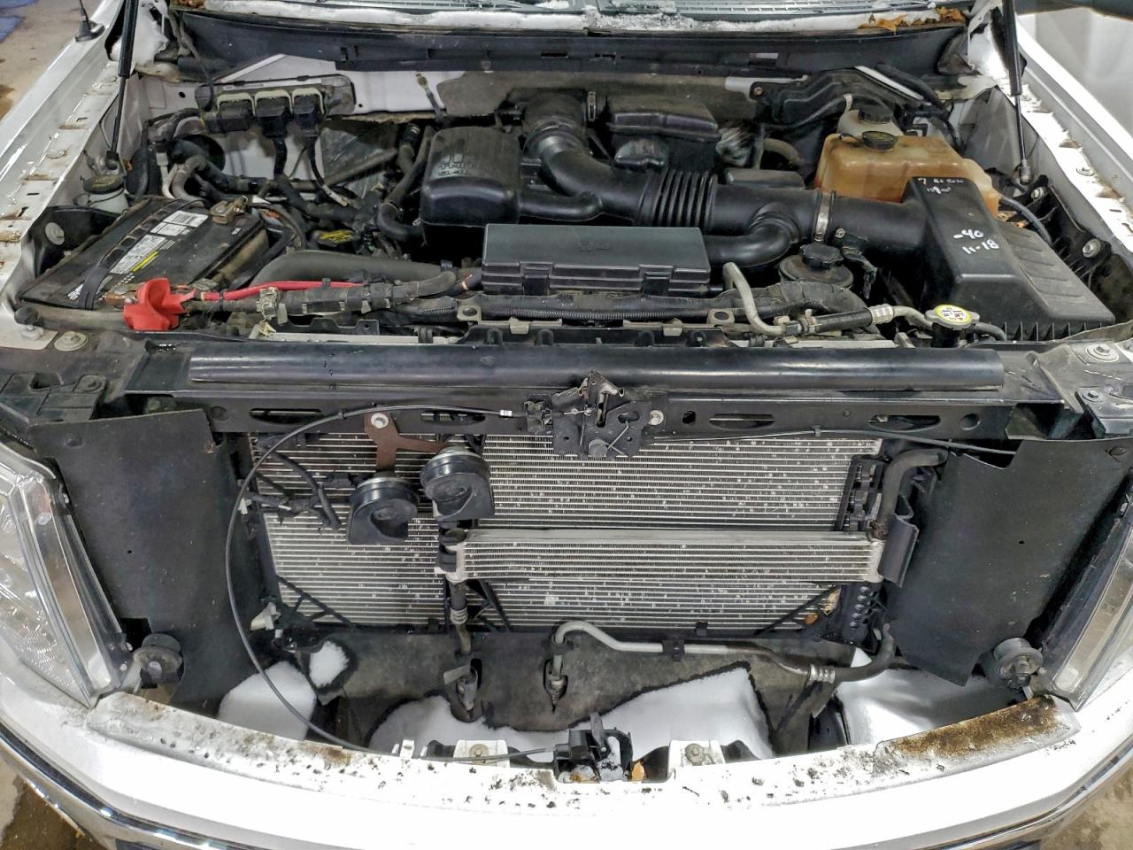 Lot #3305313325 2010 FORD F150 SUPER