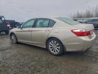 Lot #3304059532 2014 HONDA ACCORD EXL