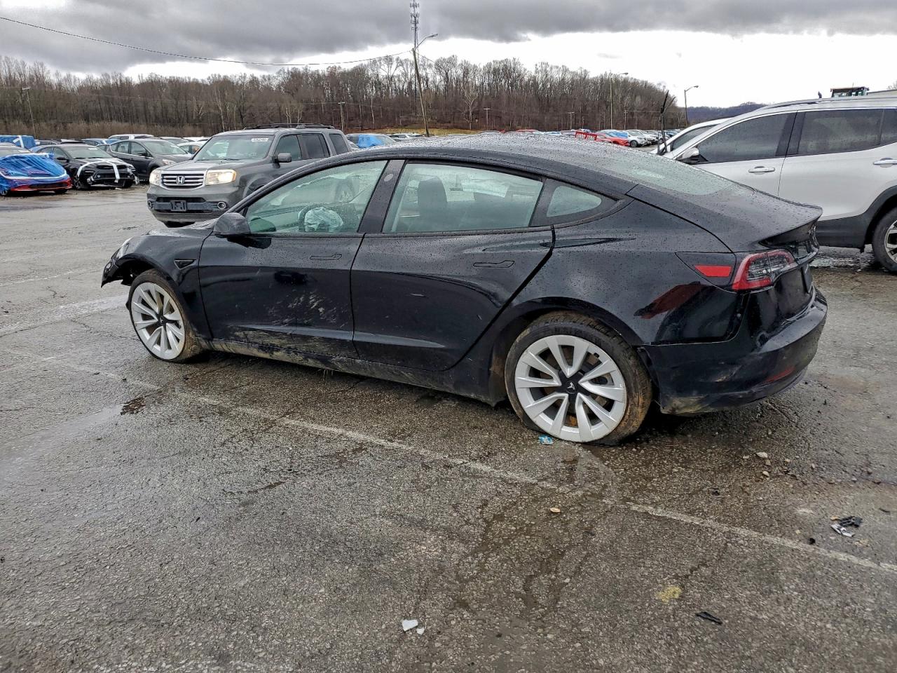 Lot #3311545288 2023 TESLA MODEL 3
