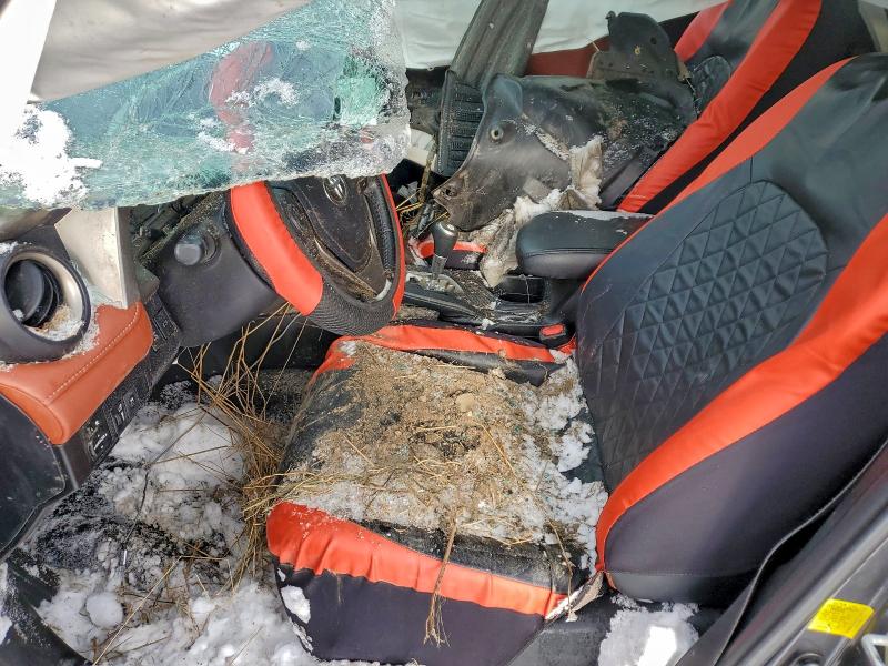 2014 TOYOTA RAV4 LIMIT #3310319990