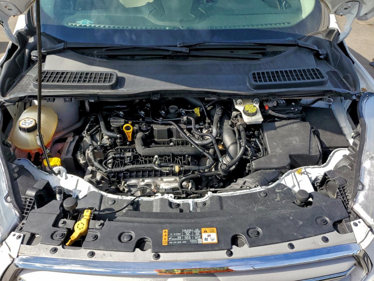 Lot #3312329776 2019 FORD ESCAPE SE