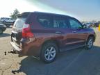 Lot #3311558274 2010 LEXUS GX 460