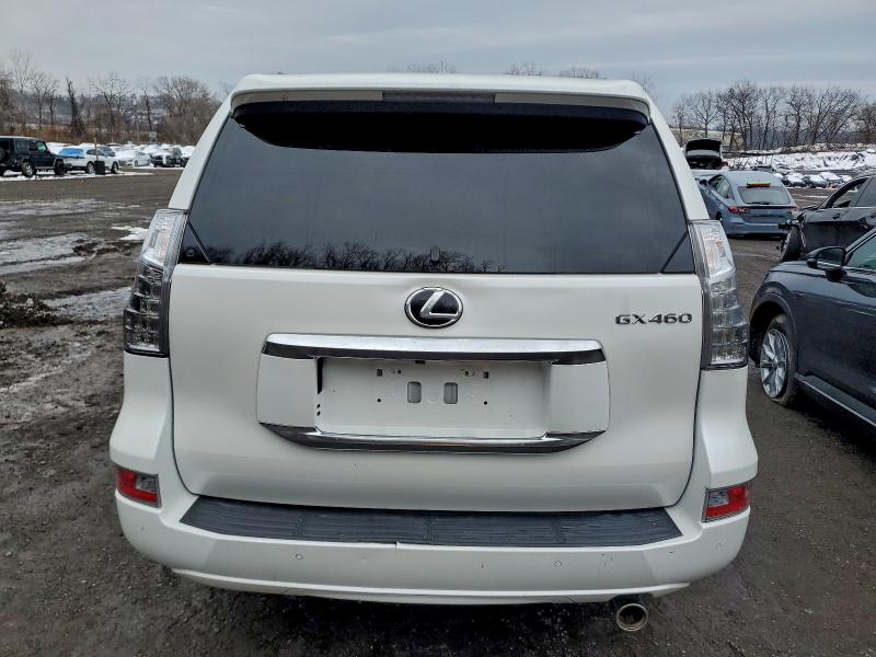 2022 LEXUS GX 460 #3304516524
