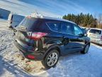 Lot #3309354010 2017 FORD ESCAPE SE