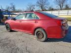 Lot #3310374960 2014 TOYOTA CAMRY L