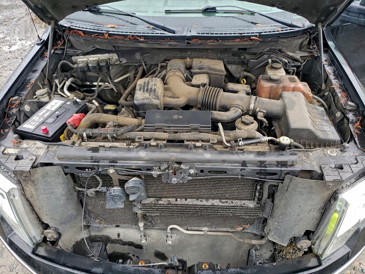 Lot #3315919096 2010 FORD F150 SUPER