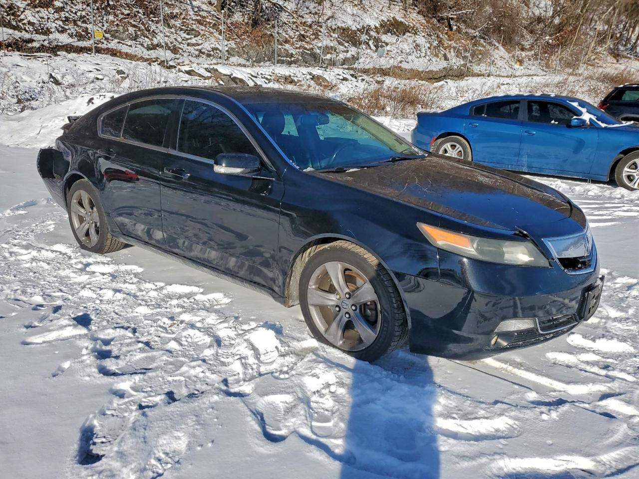 Lot #3318871941 2013 ACURA TL TECH