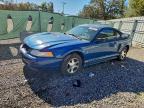 Lot #3316884072 2000 FORD MUSTANG