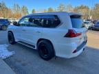 Lot #3308237231 2017 LEXUS LX 570