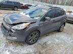 Lot #3318966944 2013 FORD ESCAPE SEL