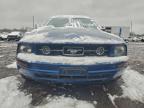 Lot #3305411302 2007 FORD MUSTANG