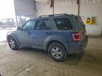 Lot #3317773069 2012 FORD ESCAPE XLT