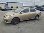 Lot #3316738424 2010 TOYOTA COROLLA BA
