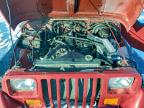 Lot #3304801313 1994 JEEP WRANGLER /