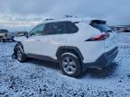 Lot #3303792421 2024 TOYOTA RAV4 XLE