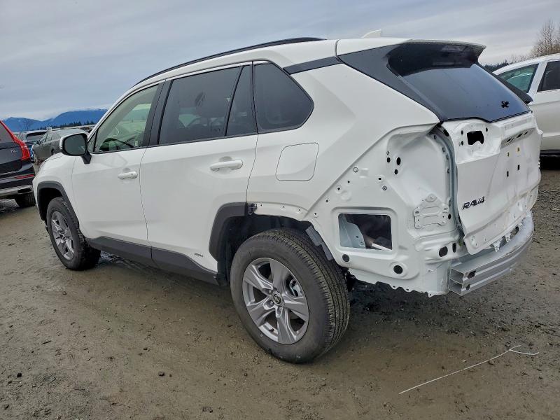 2025 TOYOTA RAV4 XLE #3304849571