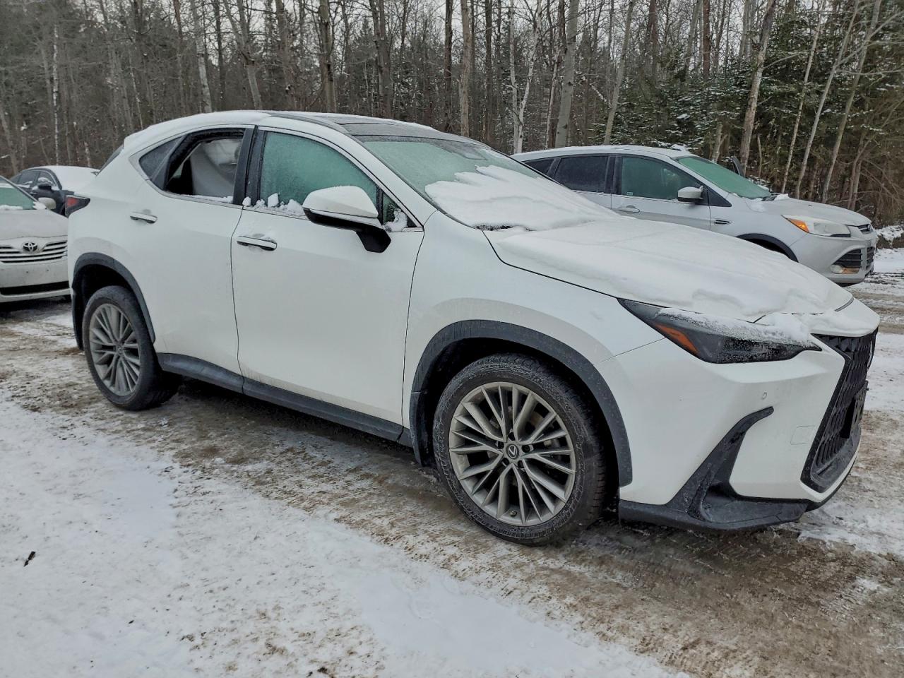 LEXUS NX 350