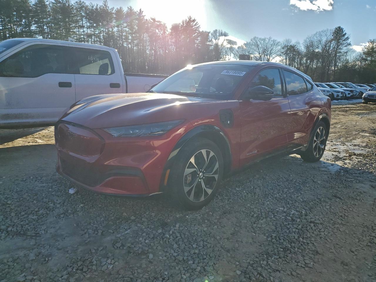 Lot #3316737399 2023 FORD MUSTANG MA